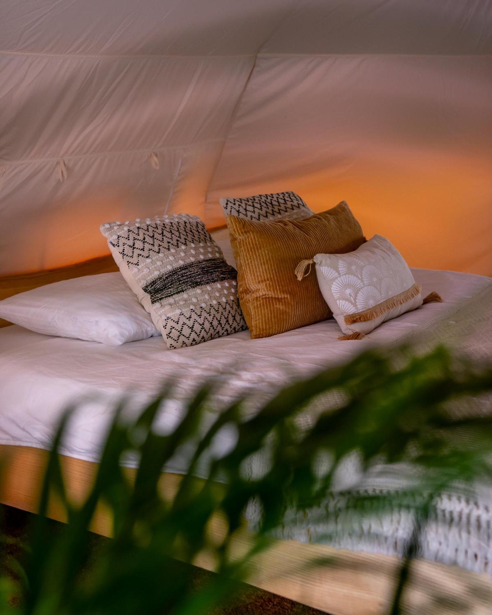 博维茨 Glamping Gozdna Jasa酒店 外观 照片