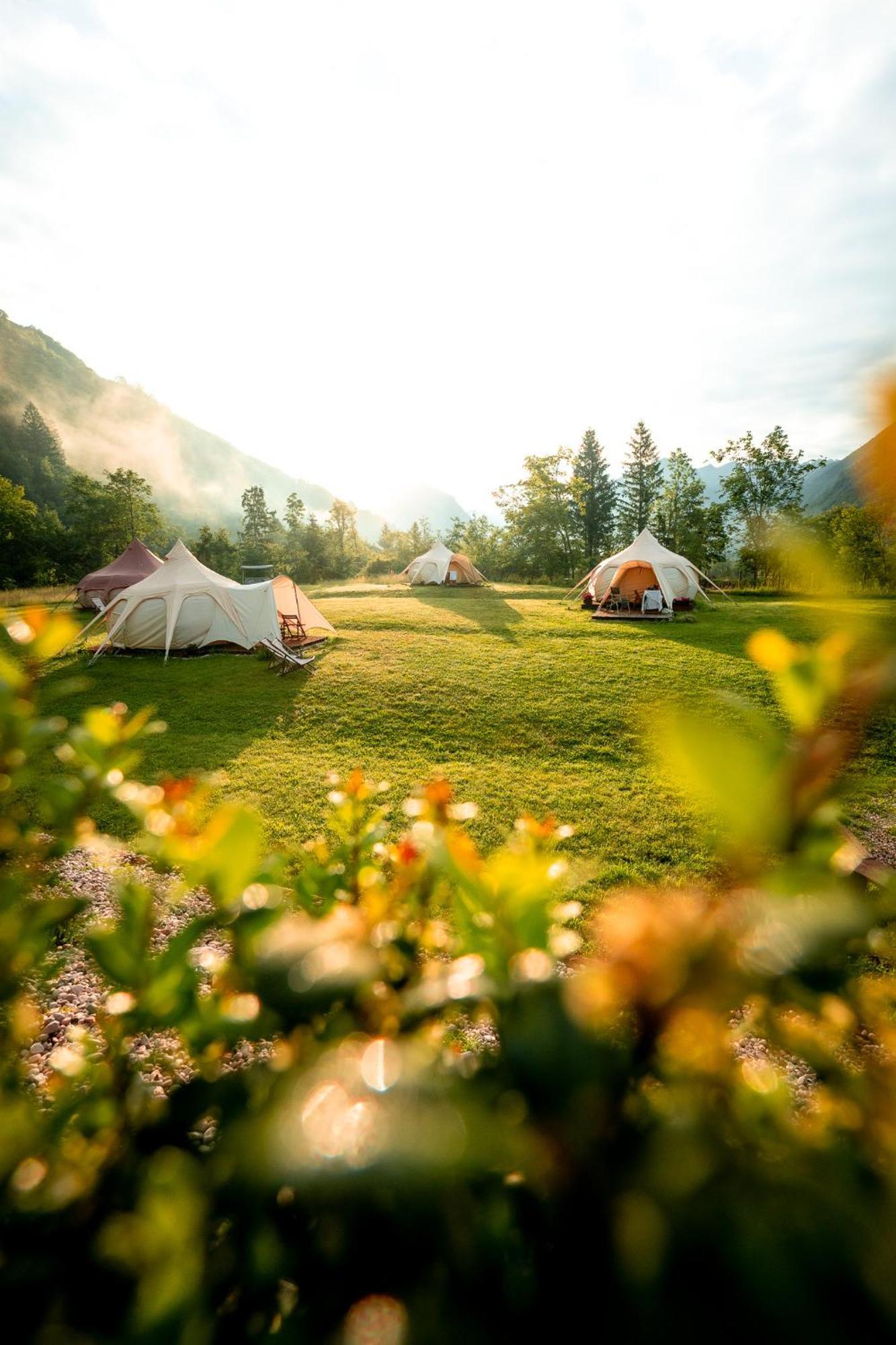 博维茨 Glamping Gozdna Jasa酒店 外观 照片