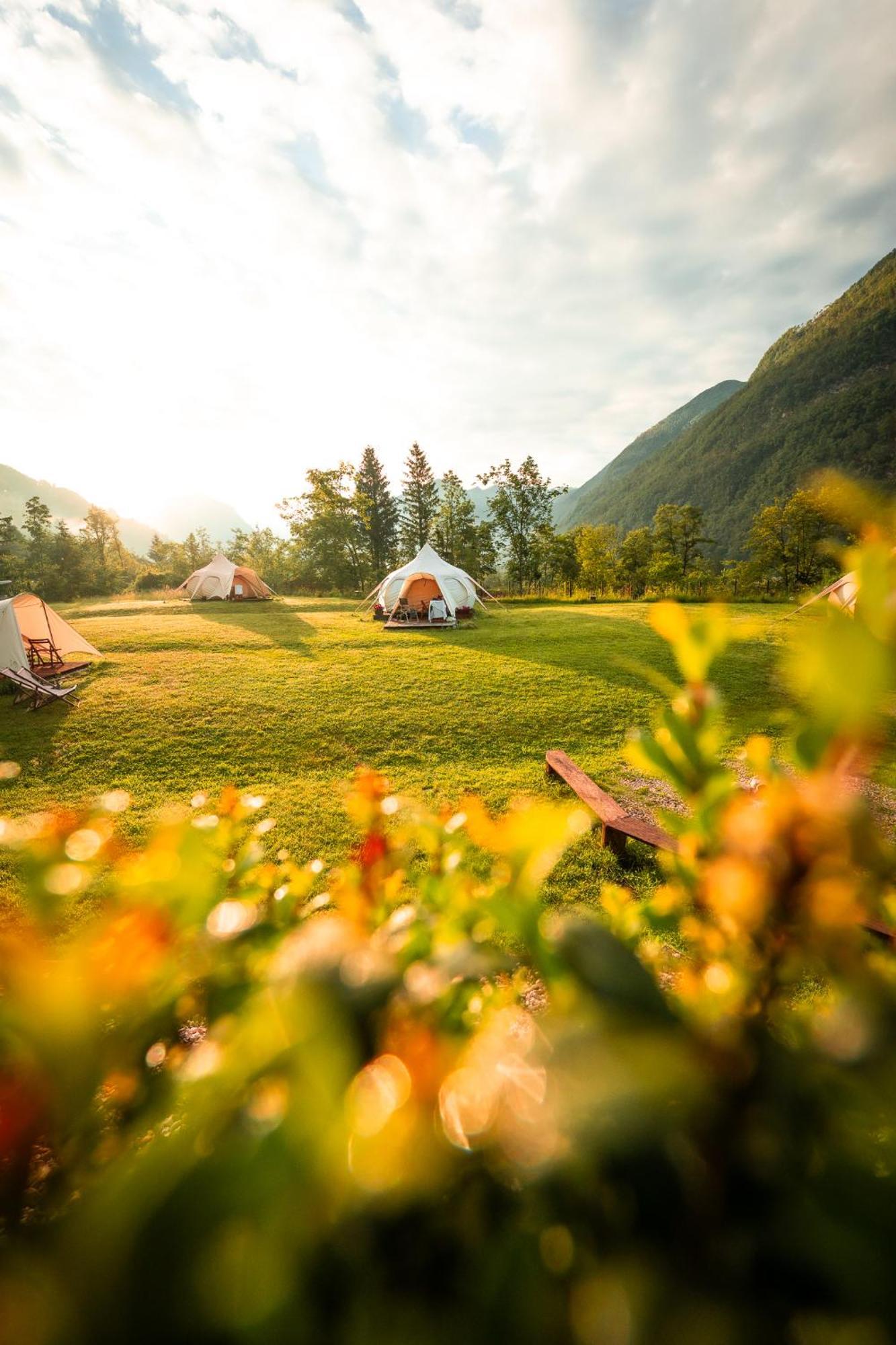 博维茨 Glamping Gozdna Jasa酒店 外观 照片
