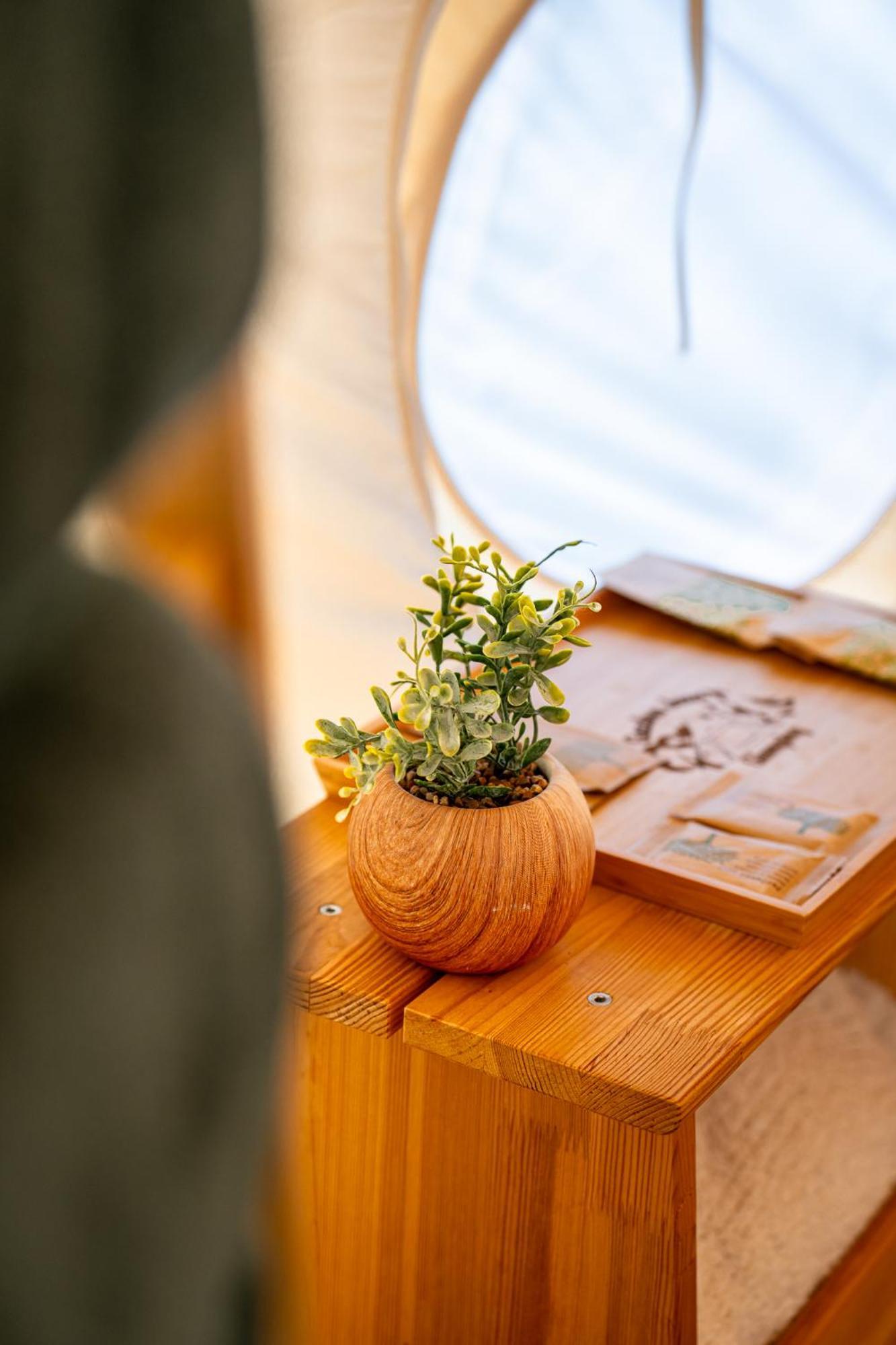 博维茨 Glamping Gozdna Jasa酒店 外观 照片